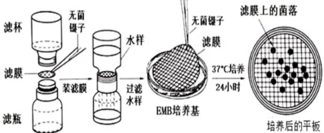 薄膜計(jì)數(shù)法