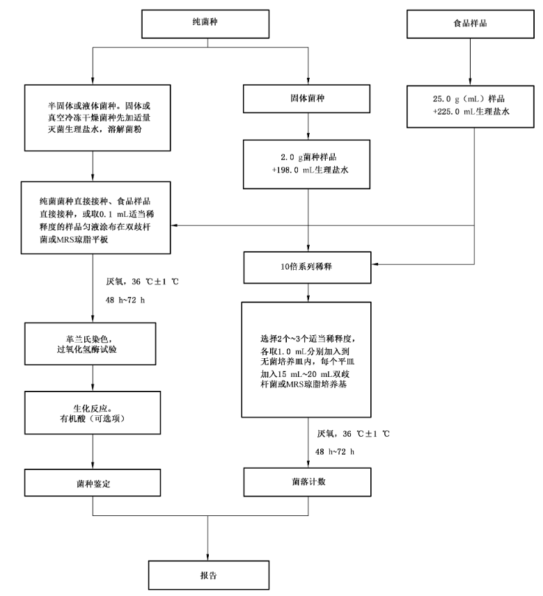 雙歧桿菌檢測程序